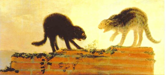 Els gats d'en Goya